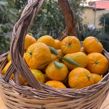 Tangerine Tree House شقة *