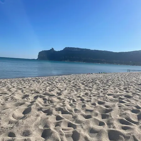 Tangerine Tree House شقة *