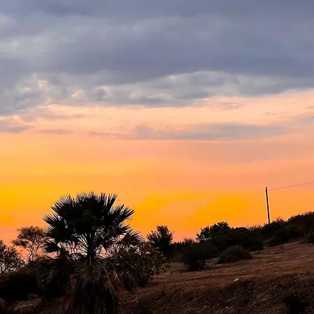 Tangerine Tree House شقة *