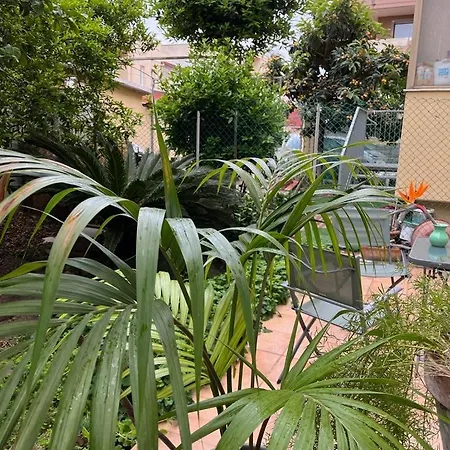 Apartamento Tangerine Tree House