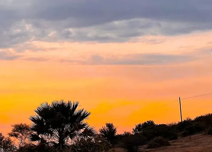 Tangerine Tree House Apartamento *