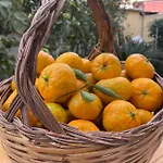 Tangerine Tree House Apartment *