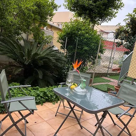 Apartment Tangerine Tree House