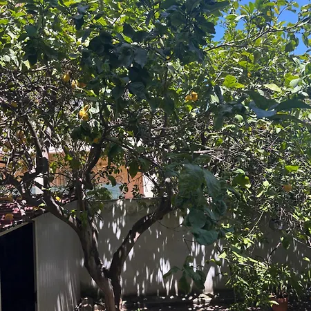 Tangerine Tree House Apartman *